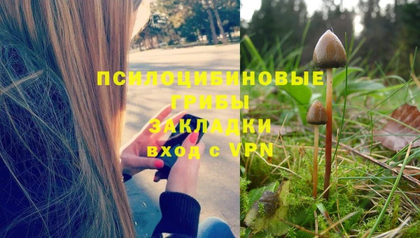 синтетический гашиш Карпинск