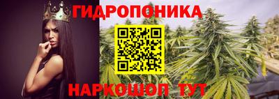 твердый Апшеронск