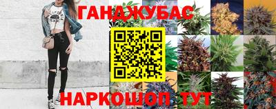spice Аргун