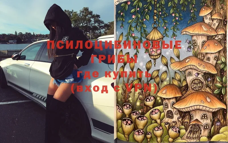 Галлюциногенные грибы Psilocybe  Балаково 