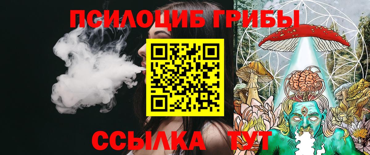 наркота  Балаково  Псилоцибиновые грибы мухоморы 