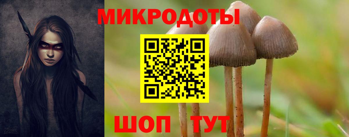 Галлюциногенные грибы мицелий  Вход с VPN  Галлюциногенные грибы Psilocybine cubensis  Балаково 