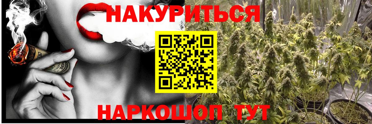 МАРИХУАНА сатива Балаково